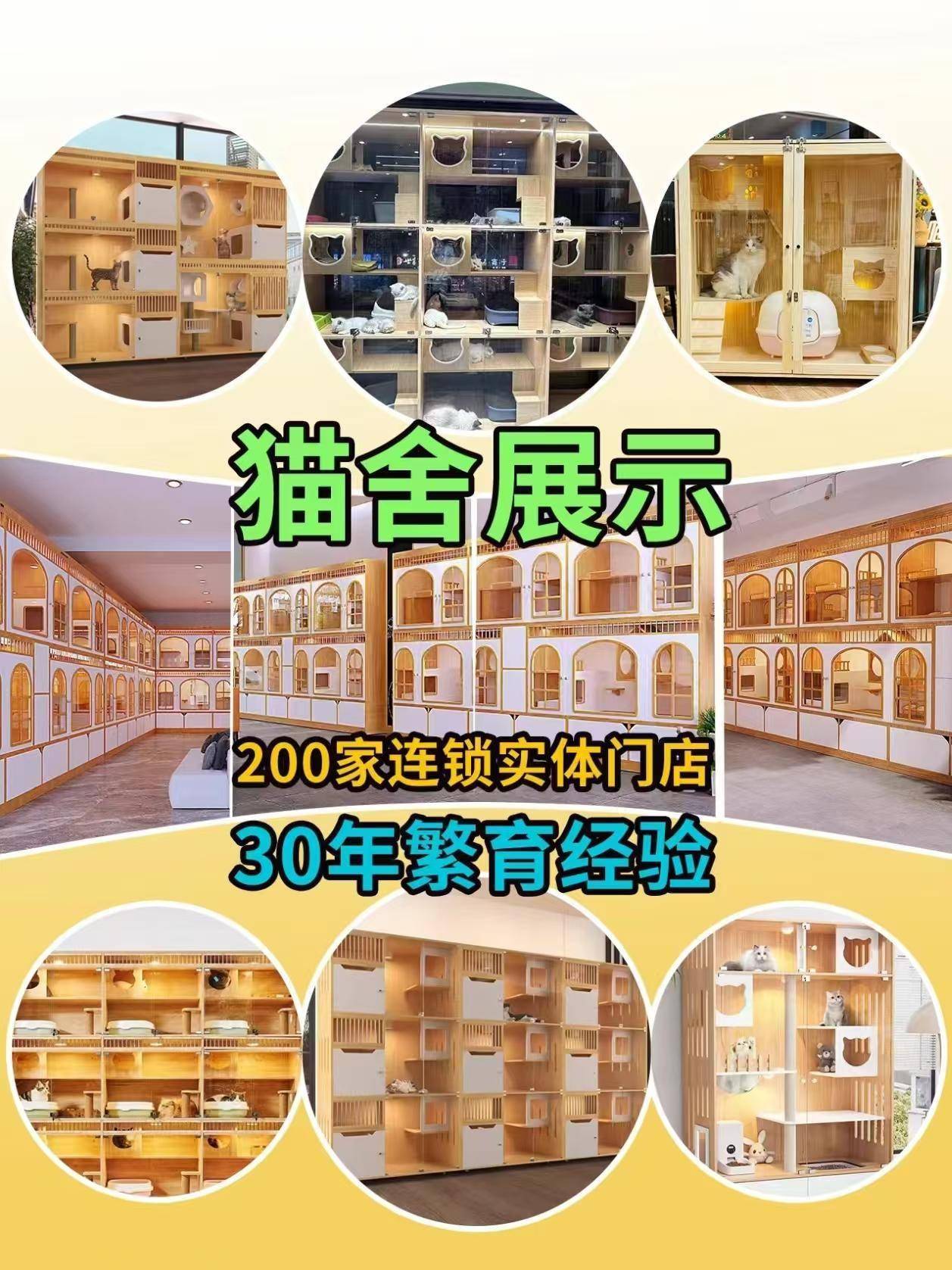 成都买比熊犬首页网站哪里买谱安？