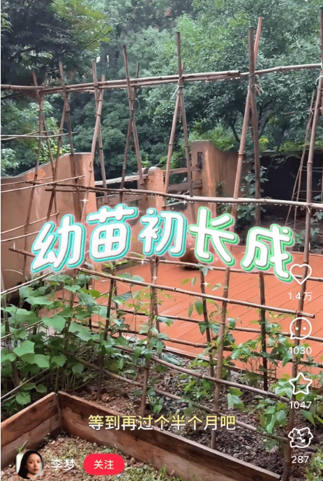 知名女演员官宣：我搬到杭州了